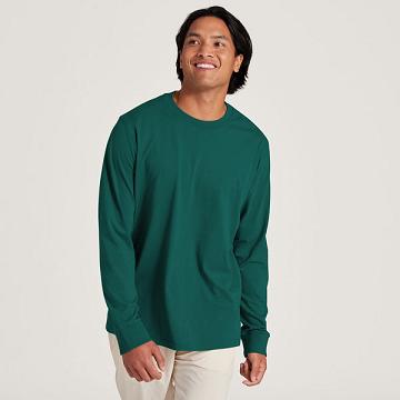 Allbirds Allgood Puuvilla Long Sleeve Miesten T Paidat Turkoosi | FI4764IS