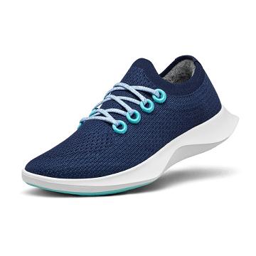 Allbirds Tree Dasher 1 Miesten Juoksukengät Sininen Valkoinen | FI4890UT