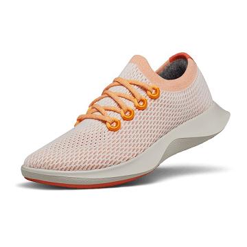 Allbirds Tree Dasher 1 Naisten Juoksukengät Pinkki Harmaat | FI4472DN